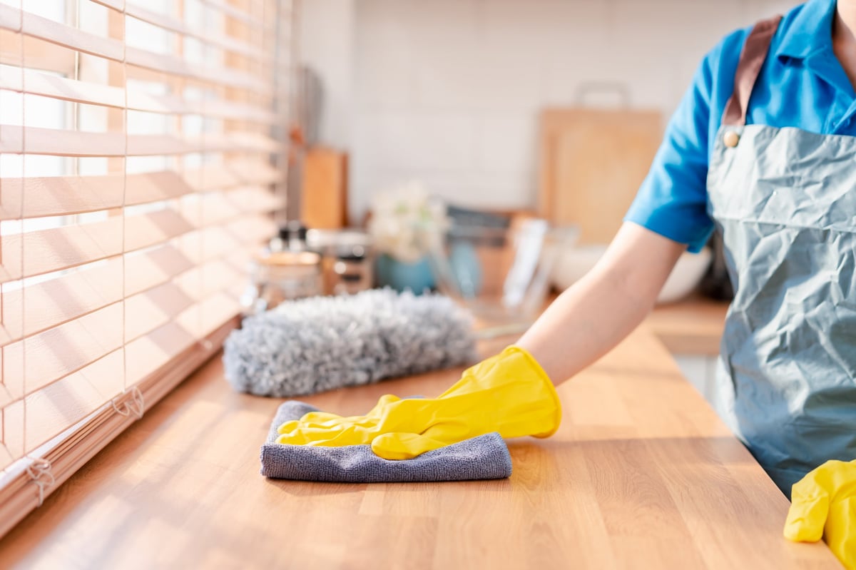 Recurring Cleaning