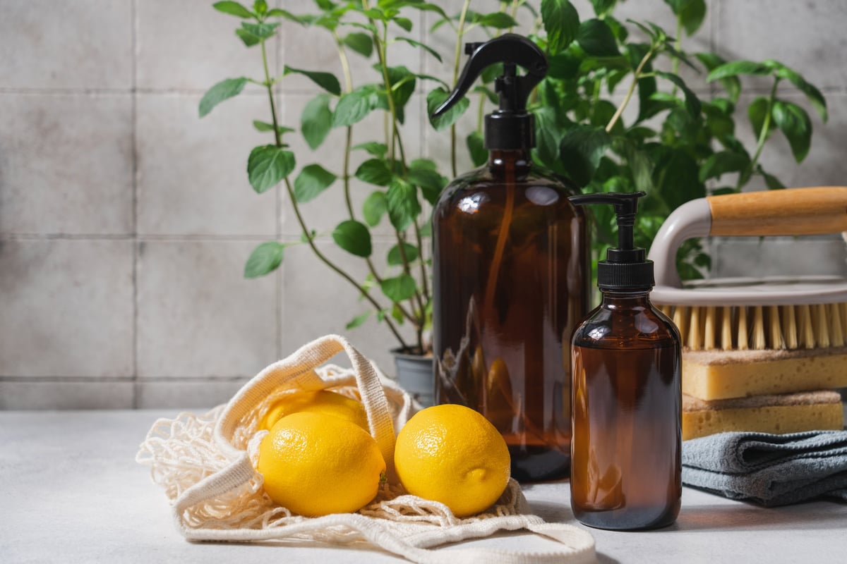 Eco-friendly natural cleaning products with green plants — A-List Cleaners uses environmentally responsible supplies